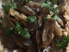 -宾朋海鲜特色美食餐厅·纯手工鲅鱼水饺(兴海路店)