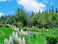 -上海长兴岛郊野公园