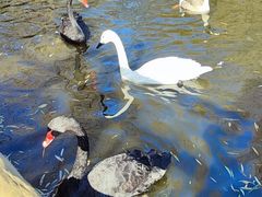 -石家庄市动物园