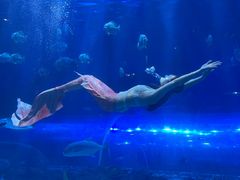 -华夏文旅海洋公园