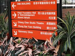 -香港大学