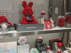 -ROSEONLY诺誓(沈阳万象城店)