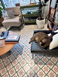 -优刻西服西装定制(金轮国际广场店)