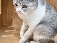 -共舞时光猫咖·狗咖(新街口店)