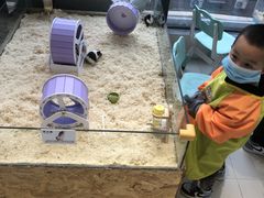 -怪兽屋·羊驼·猫咖·狗咖(俊华广场店)