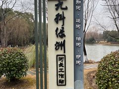 -九科绿洲