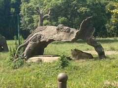 -杭州野生动物世界