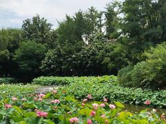 -成都市文化公园
