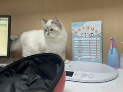 -谐和益家动物医院·免疫绝育·血液透析·宠保定点医院(高新伊藤分院)