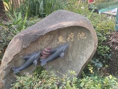 -张家港金凤凰度假村温泉