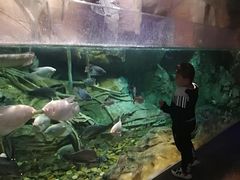 -哈尔滨波塞冬海底世界