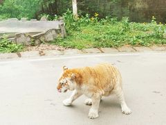 -乐和乐都主题乐园