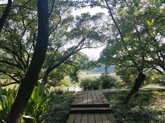 -江心屿景区
