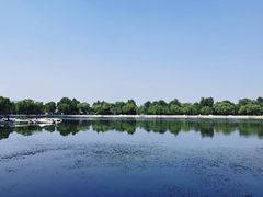 -后海公园