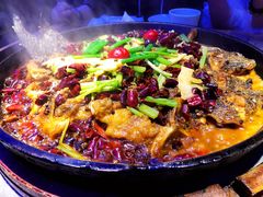 -老板恋上鱼(恒隆广场店)