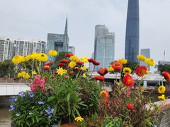 -海心沙亚运公园