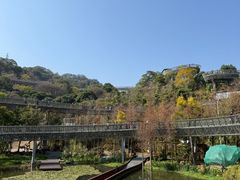 -福道