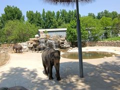 -北京野生动物园