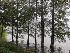 -天目湖山水园