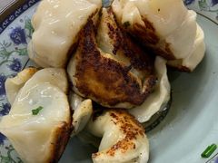鲜肉煎饺-无名氏宵夜小摊(祝家三姐妹馄饨店)