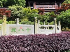 -十八棵（老龙井）御茶园(老龙井店)