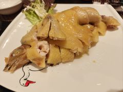 -金燕岛潮州酒楼