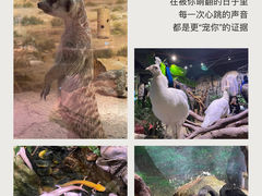 -正佳雨林生态植物园