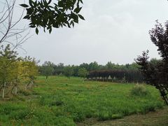 -永定河休闲森林公园