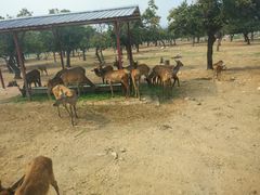 -西安秦岭野生动物园