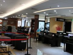 -知音艺术教育培训·钢琴培训·音乐培训(河西金鹰世界校区)