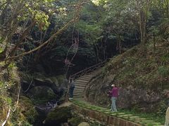 -苍龙峡风景区