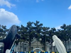 -海合安成都极地海洋公园