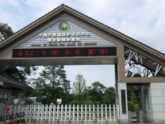 -中国大熊猫保护研究中心雅安碧峰峡基地