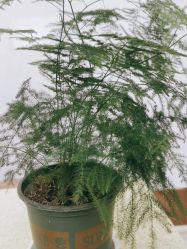 -痘院长·祛痘·科技美肤