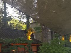 -乌记大厨餐厅