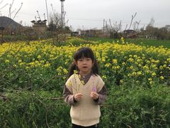 -抱龙峪