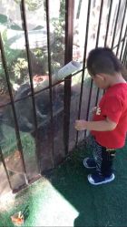 -萌宠亲子动物乐园(槐房万达店)