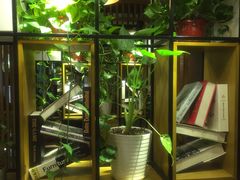 -意卡菲·欢乐聚会餐厅(华侨店)