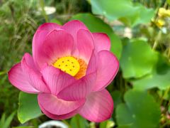 -龚家花园农家乐休闲别墅