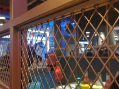 -纽斯特牛排自助餐厅(浦东文峰广场店)