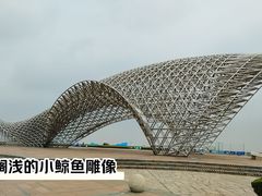 -南汇嘴观海公园
