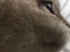 -pd派德宠物中心医院24H急重症·眼科中心·血液透析中心(嵩山北路店)