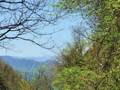 -王顺山国家森林公园
