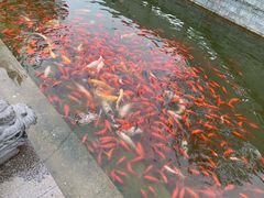 -济南方特东方神画