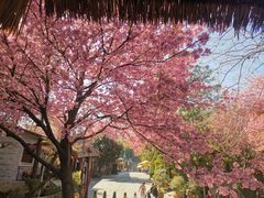 -天龙八部武侠城