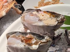 梭子蟹-东海怡品海鲜豆捞(舟宿夜江店)