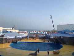 -海合安青岛极地海洋公园