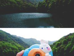 -龙坞茶村