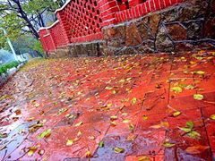 iphone_upload_pic-八大关景区
