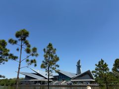 -盐城丹顶鹤湿地生态旅游区